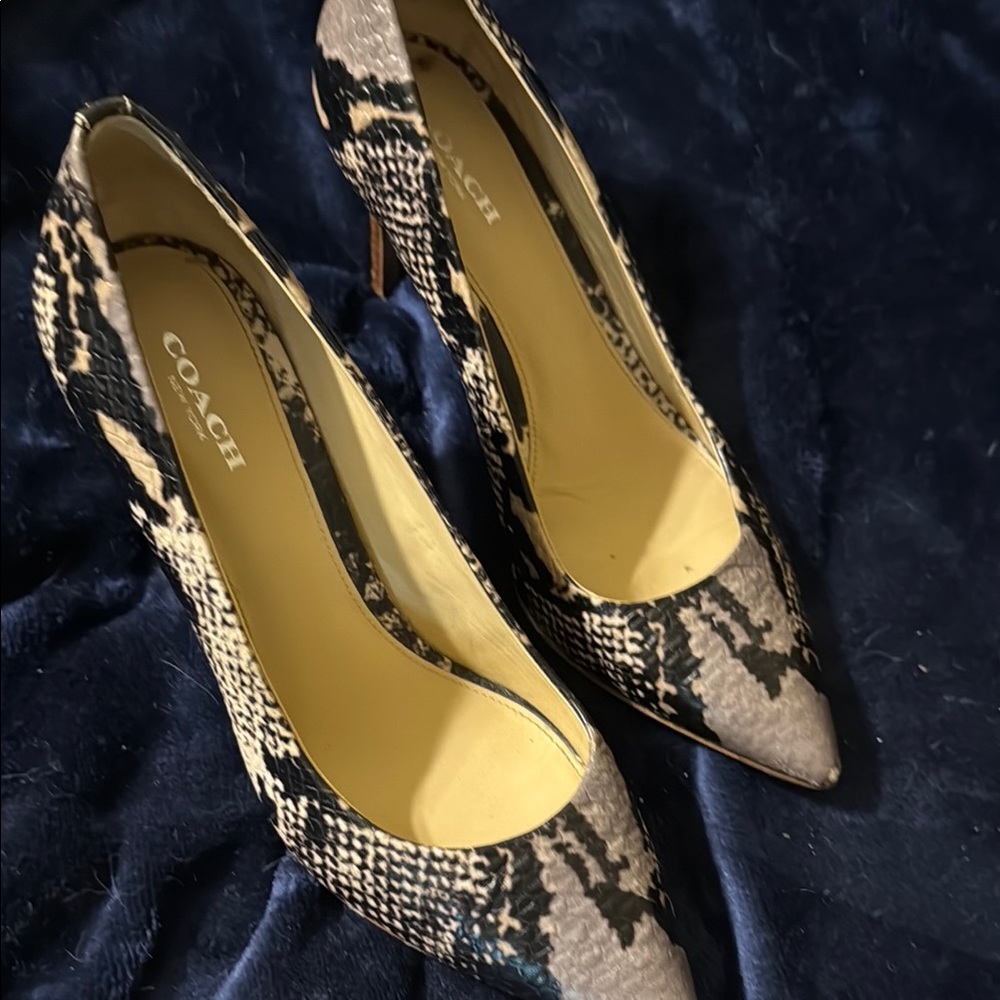 Coach Black and Tan Heels with Snakeskin Pattern